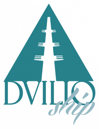 Logo Duilioship